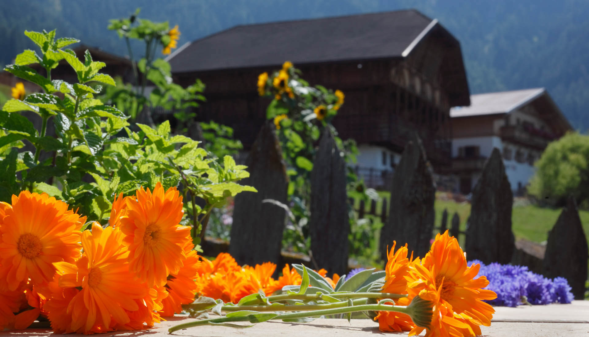 Sommerurlaub in Kastelruth in der Ferienregion Seiser Alm