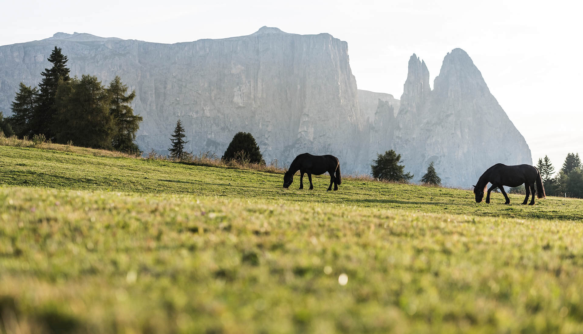 Sommerurlaub in Kastelruth in der Ferienregion Seiser Alm