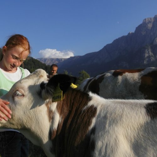 Urlaub auf dem Bauernhof in Kastelruth