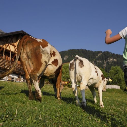 Urlaub auf dem Bauernhof in Kastelruth