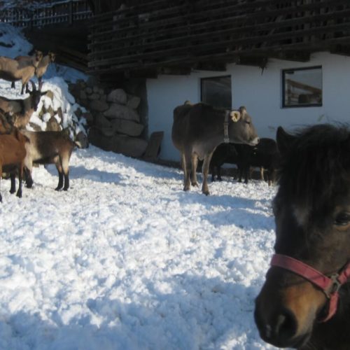 Winterurlaub in Kastelruth/Seiser Alm