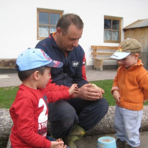 Impressionen vom Pristingerhof in Seis am Schlern