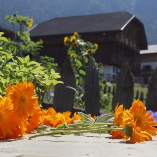 Impressionen vom Pristingerhof in Seis am Schlern