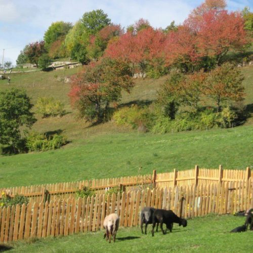 Impressionen vom Pristingerhof in Seis am Schlern