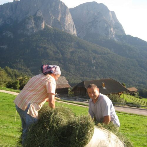 Impressioni sul maso Prispingerhof in Alto Adige