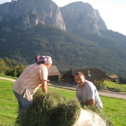 Impressions of Prispingerhof Farm in South Tyrol