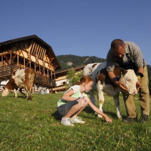 Impressions of Prispingerhof Farm in South Tyrol