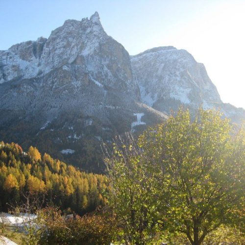 Impressioni sul maso Prispingerhof in Alto Adige