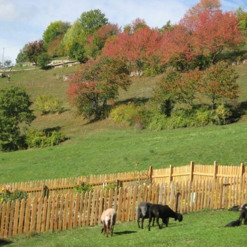 Impressioni sul maso Prispingerhof in Alto Adige